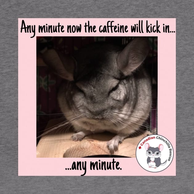 Chinchilla Thoughts by canchinrescue